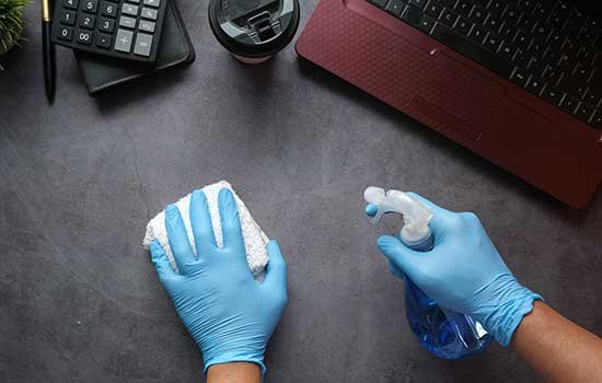 Seasonal pest prevention article image