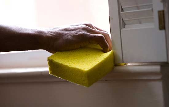 Termite inspection article image